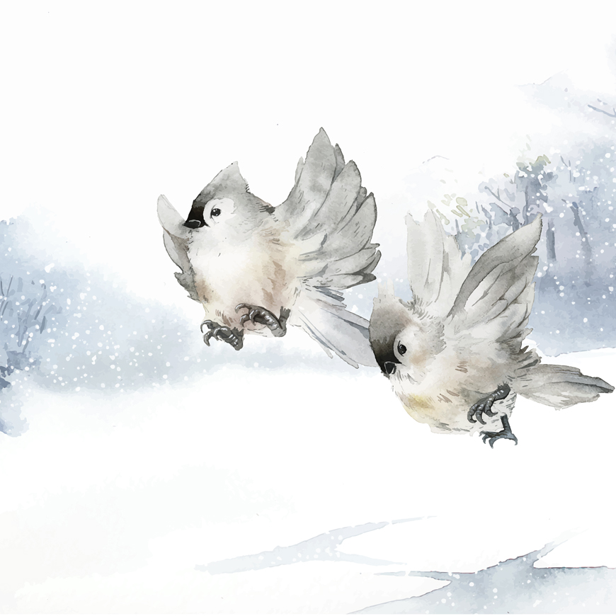 Zimowe ptaki